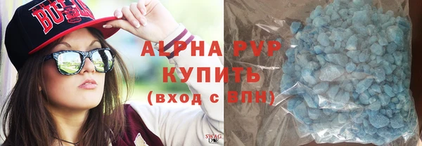 индика Аркадак