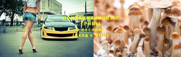 эйфоретик Михайловск