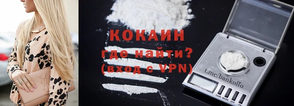 индика Аркадак