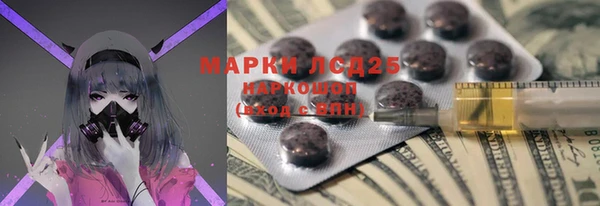 индика Аркадак