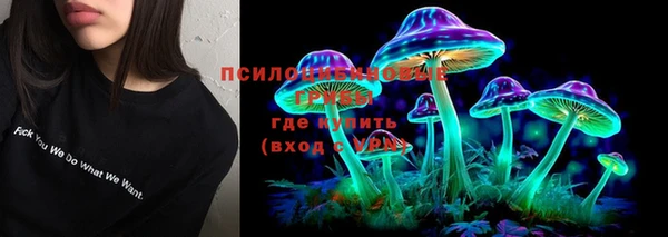индика Аркадак