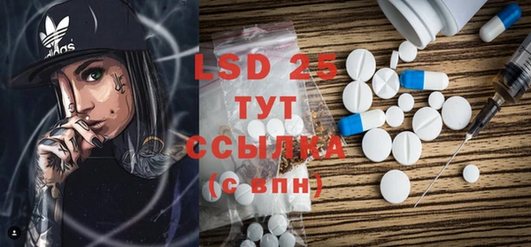 индика Аркадак