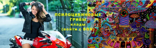 гашик Армянск