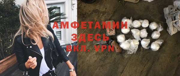 индика Аркадак