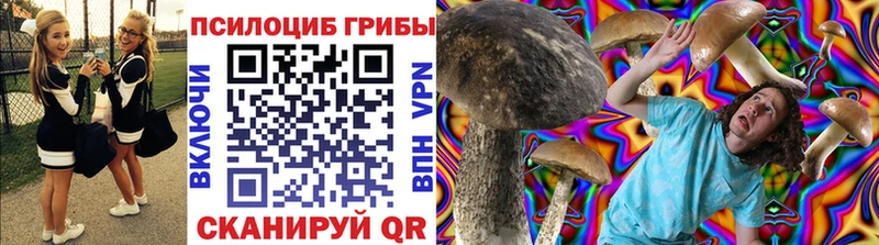 Псилоцибиновые грибы мицелий  hydra ONION  Славгород 